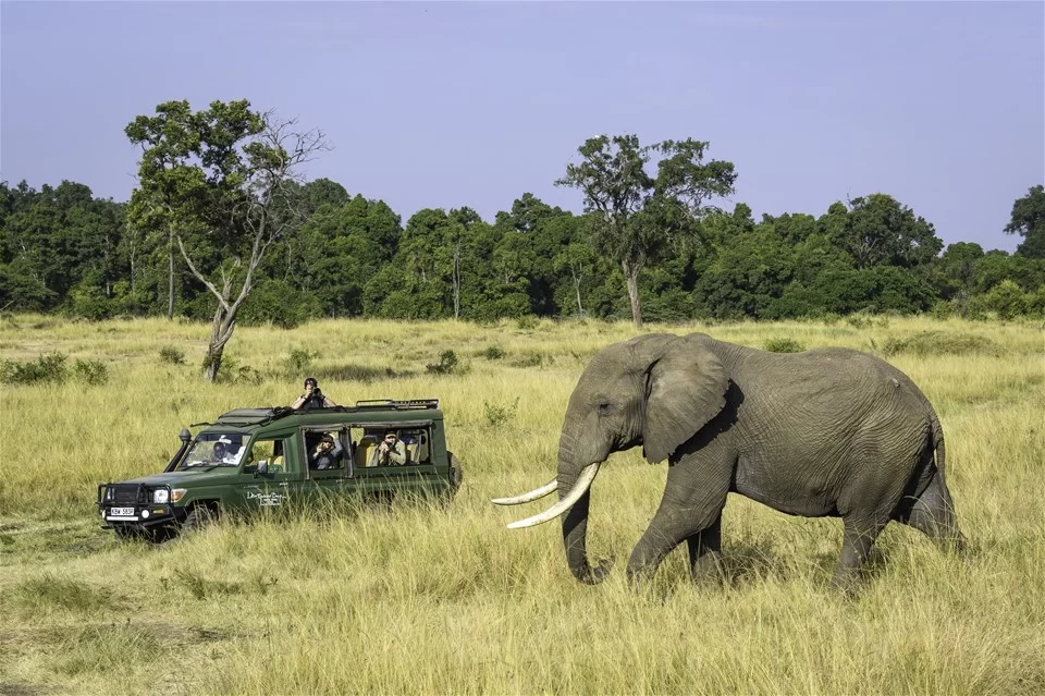 Personalized Adventure Tours: Crafting Your Ideal Travel Experience