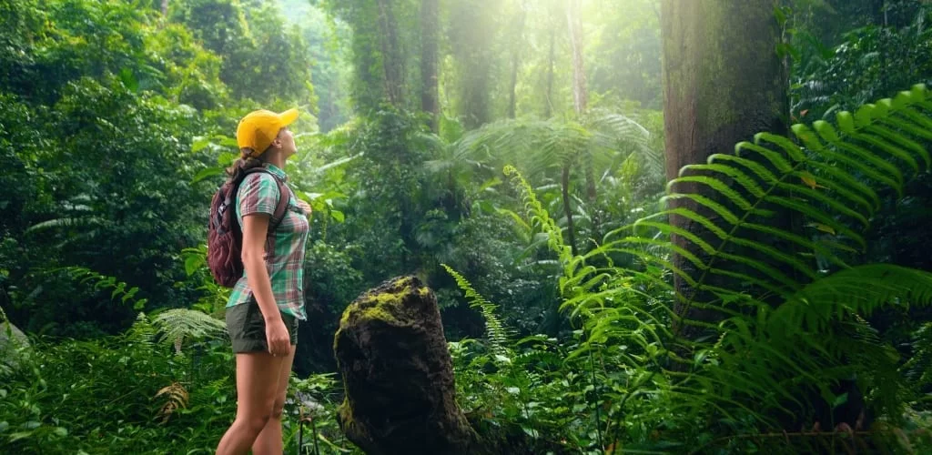 VIP Eco-Tourism Experiences: Discover Exclusive Sustainable Travel Destinations