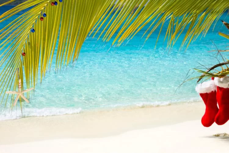 Experience Christmas Luxury Travel in Florida: Top Holiday Destinations for a Magical Getaway