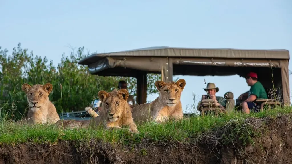 Luxury Wildlife Safaris in Kenya: Experience the Best Safari Tours in Style