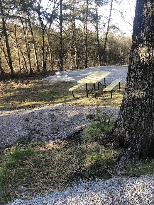 Oasis RV park 3
