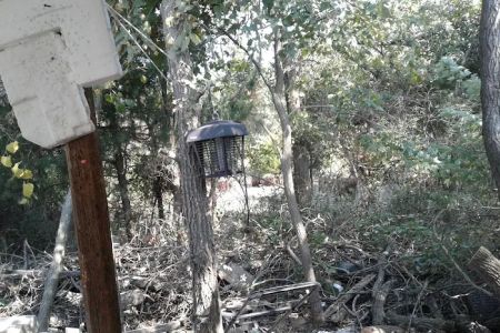 Rocky Top Mobile Home Park