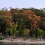 Coachlight Village Mobile Home Park