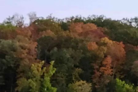 Coachlight Village Mobile Home Park