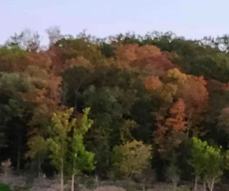 Coachlight Village Mobile Home Park