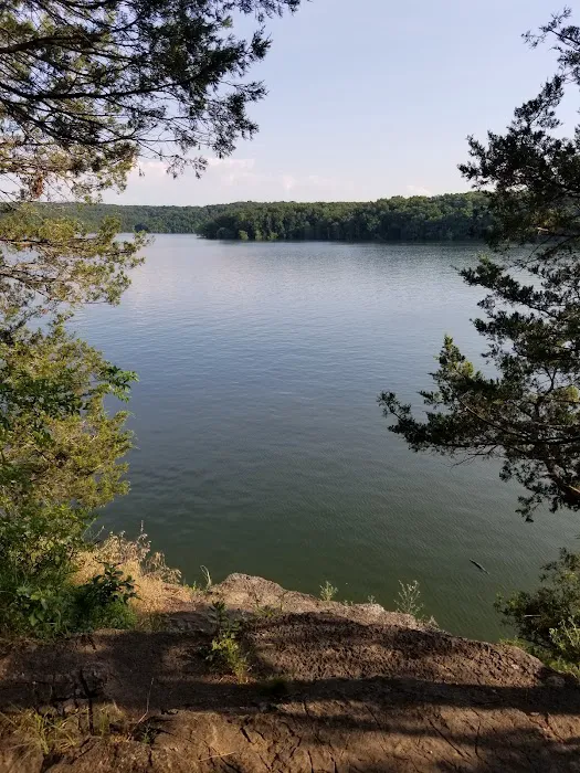 Viola Park Campground 4