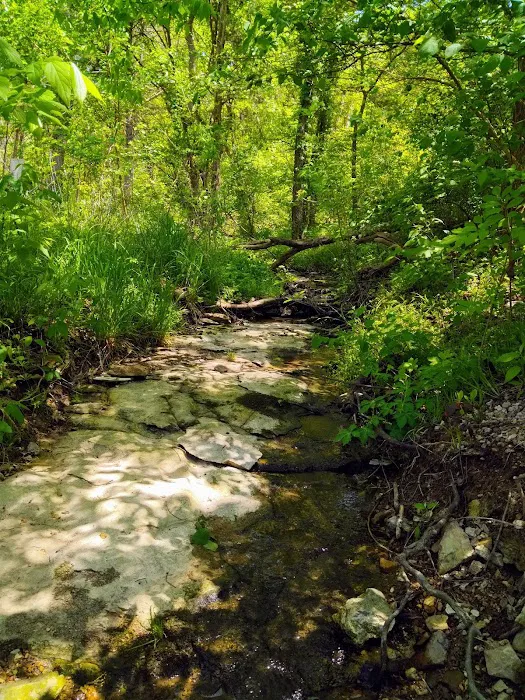 Viola Park Campground 2