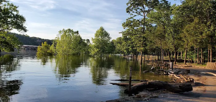 Viola Park Campground 10