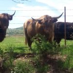 God's Country RV Park