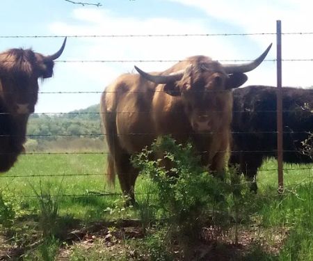 God's Country RV Park