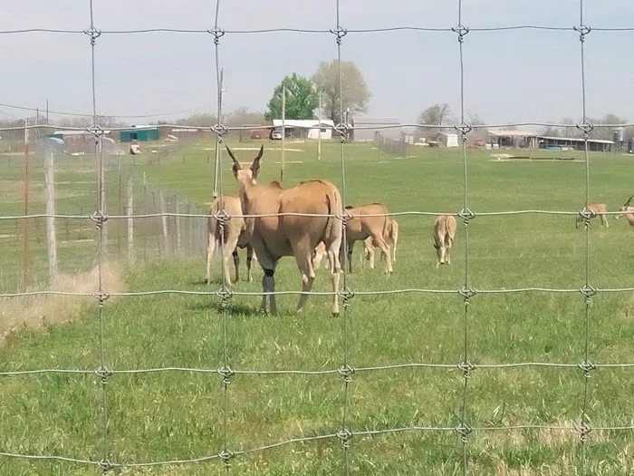 God's Country RV Park 3