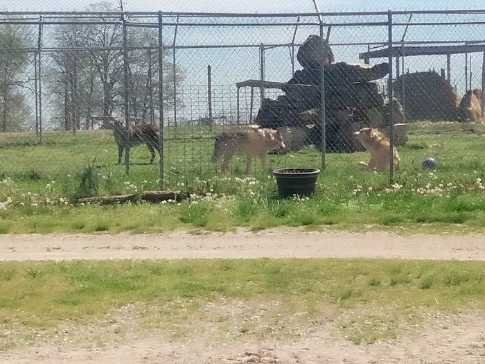 God's Country RV Park 10