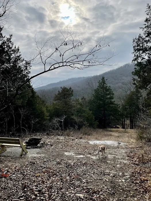 Cold Creek Valley 3