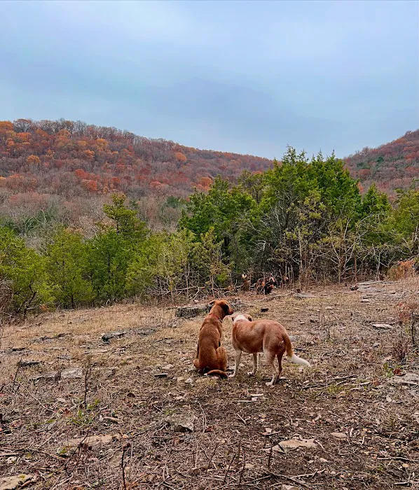 Cold Creek Valley 2