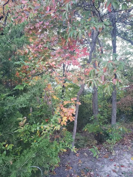 Peddlers RV Park 8