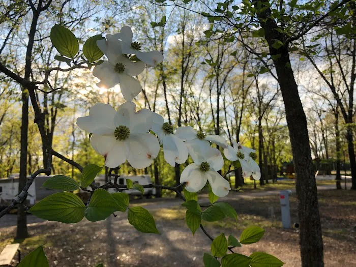 Oak Hill Court Cabins & RV Park 7