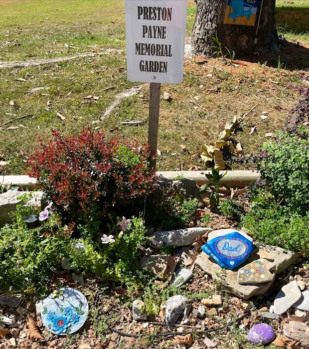 Paradise VALLEY 7
