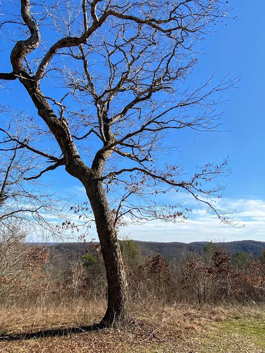 Sugar Camp National Forest Scenic Byway 4