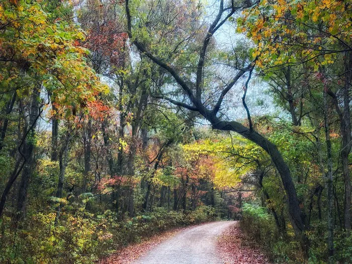 Sugar Camp National Forest Scenic Byway 7