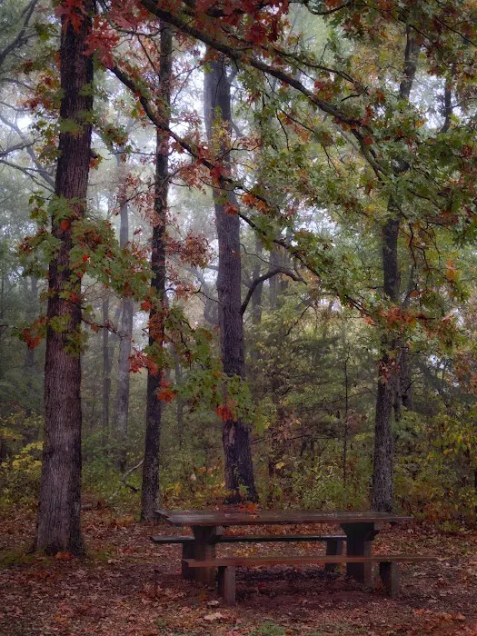 Sugar Camp National Forest Scenic Byway 8