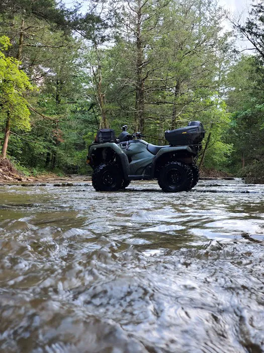 Sugar Camp National Forest Scenic Byway 10