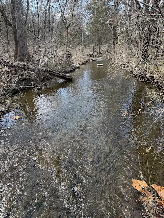 Berryville RV Park 7