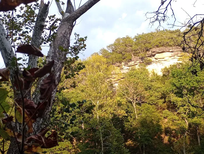 Parker Bottoms Campground 6