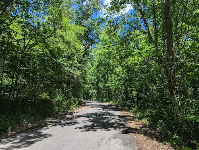 Parker Bottoms Campground 8