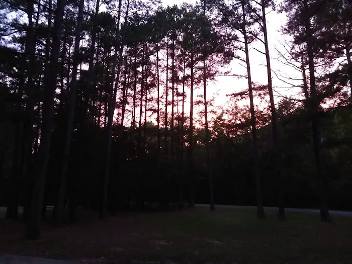 The Pines Campground 2