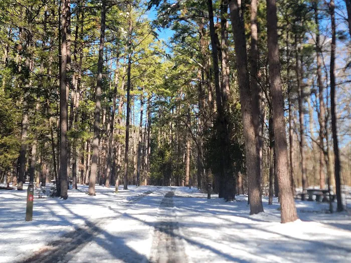 The Pines Campground 5