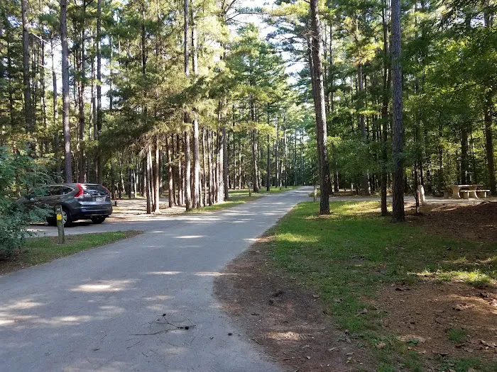The Pines Campground 6
