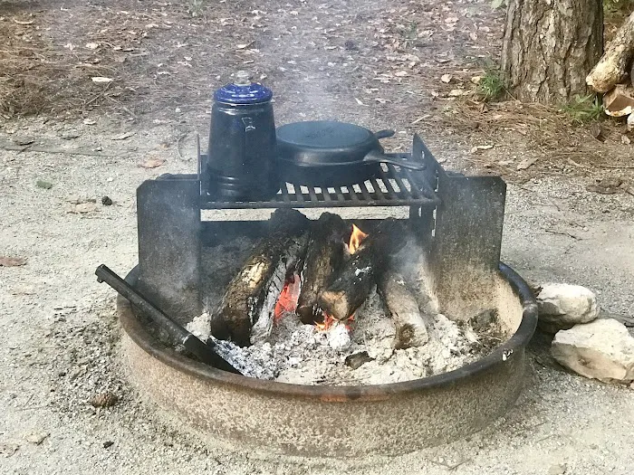 The Pines Campground 10