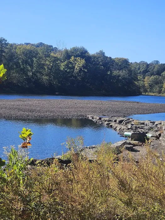 Riverview Campground 6