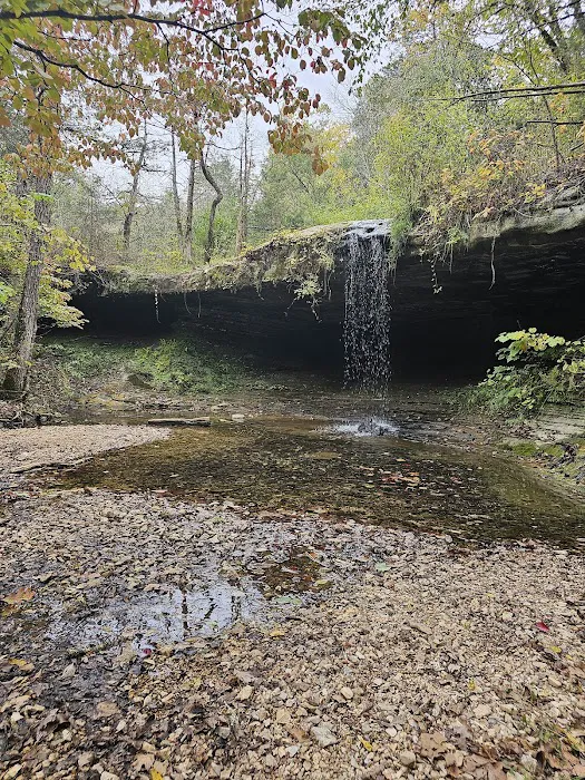 Riverview Campground 10