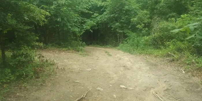 Ozark Mountains Campground 3
