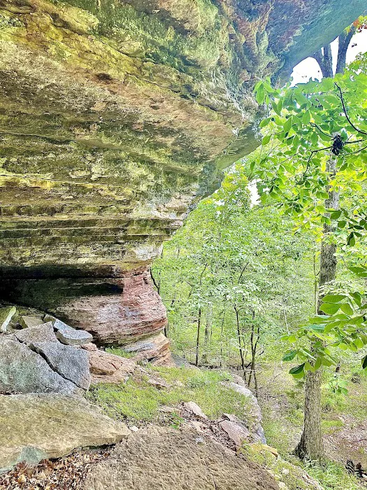 Ramble Ridge Camp 2