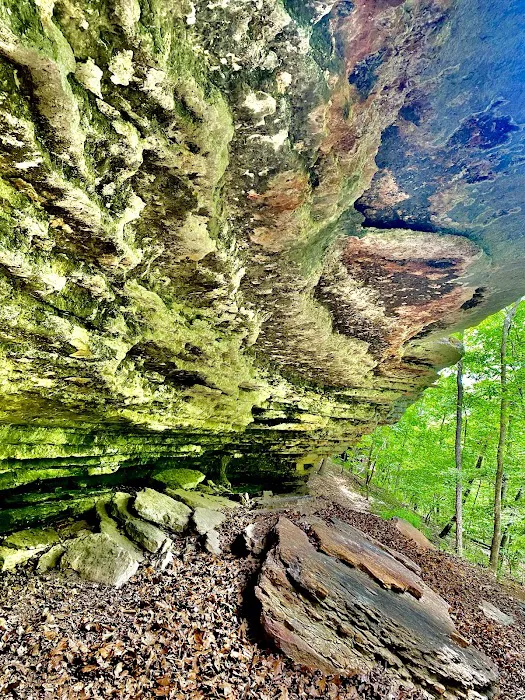 Ramble Ridge Camp 3