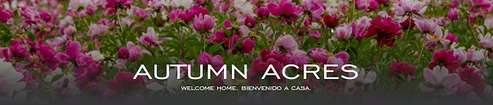 Autumn Acres Mobile Home Community 10