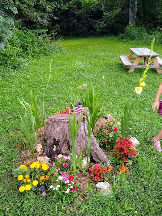 Highway 60 RV Park 8