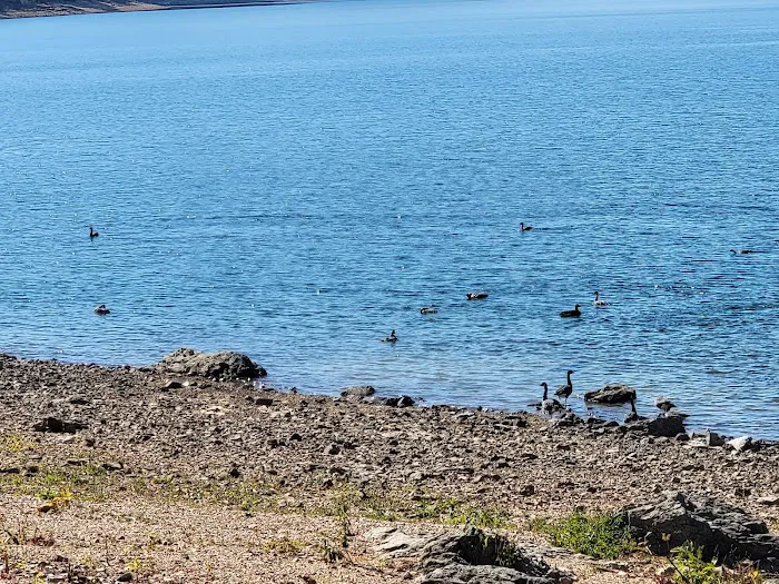 Dam Site Lake Campground 7