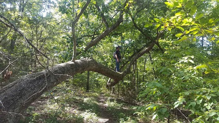Indian Creek Park 4
