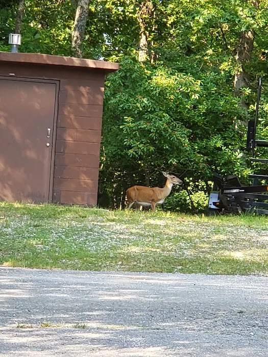Starkey Campground 7