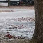 Hickory Lane Mobile Home Park