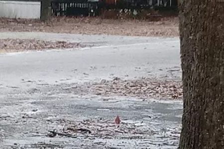 Hickory Lane Mobile Home Park