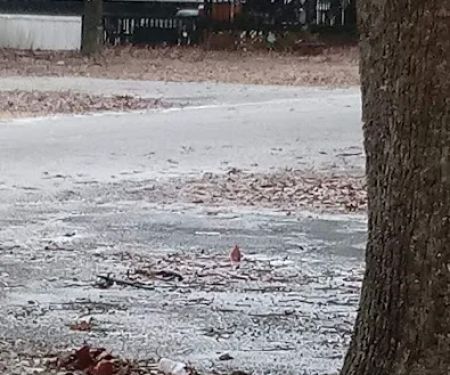 Hickory Lane Mobile Home Park