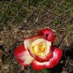 Country Acres Mobile Home Community