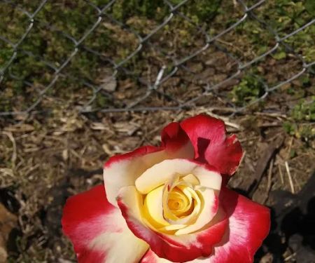 Country Acres Mobile Home Community