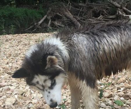 Hickory Creek RV Park