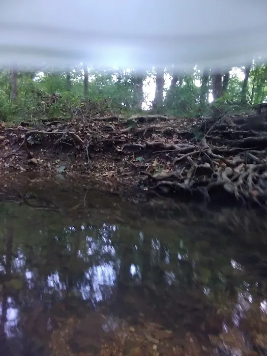 Creekside 1 Campground 8