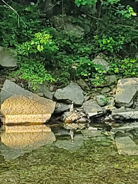 Creekside Campground 1 5